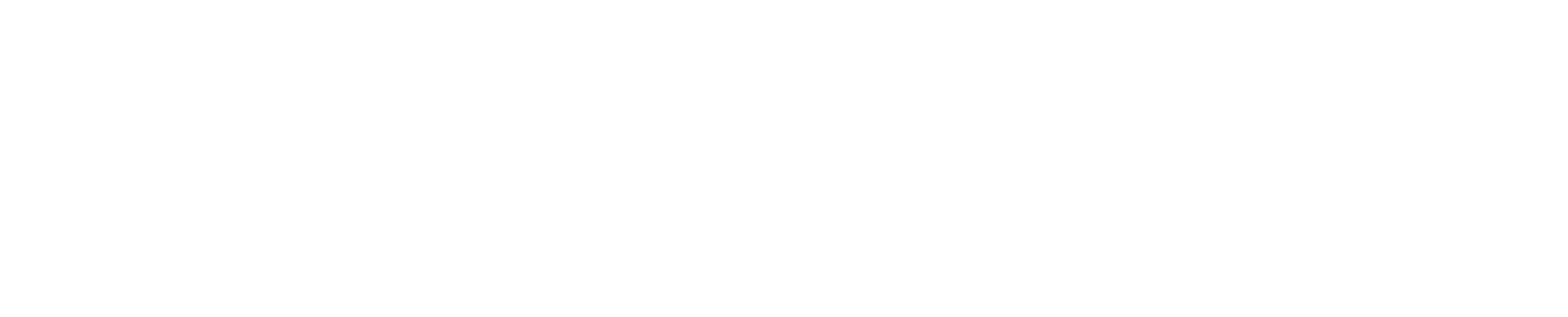 Helient - A Princeton Solutions Company logo_full width_lower_case_white